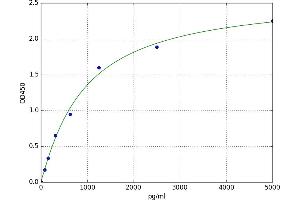 Dipeptidyl-Peptidase 7 (DPP7) ELISA Kit