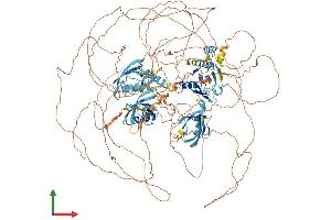 AlphaFold protein structure predicition of Human Recombinant IL16 Protein, UniprotID Q14005