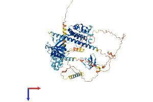 AlphaFold protein structure predicition of Mouse Recombinant Eps8l2 Protein, UniprotID Q99K30