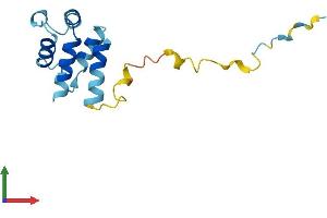 AlphaFold protein structure predicition of Human Recombinant PEA15 Protein, UniprotID Q15121