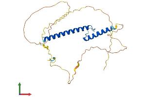 AlphaFold protein structure predicition of Human Recombinant NEUROG2 Protein, UniprotID Q9H2A3