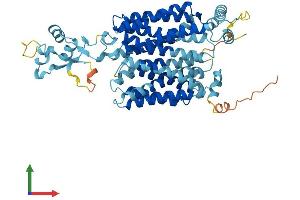 AlphaFold protein structure predicition of Human Recombinant SLC22A3 Protein, UniprotID O75751