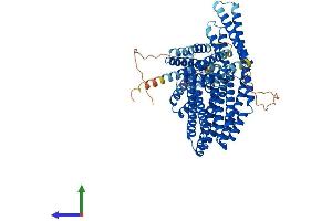 AlphaFold protein structure predicition of Human Recombinant CTNNAL1 Protein, UniprotID Q9UBT7