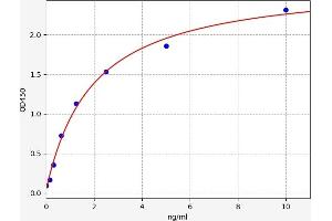 Typical standard curve (P4HB Kit ELISA)