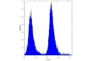 MGMT antibody flow cytometric analysis of 293 cells (right histogram) compared to a negative control (left histogram).