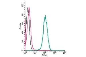 Cell surface detection of β3-Adrenergic Receptor by indirect flow cytometry in live intact human THP-1 monocytic leukemia cells: (black line) Cells.