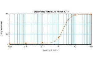 Image no. 1 for anti-Interleukin 13 (IL13) antibody (Biotin) (ABIN464961) (IL-13 anticorps  (Biotin))