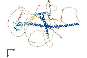 AlphaFold protein structure predicition of Human Recombinant PHF21A Protein, UniprotID Q96BD5