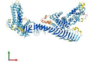 AlphaFold protein structure predicition of Mouse Recombinant Als2cl Protein, UniprotID Q60I26
