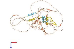 AlphaFold protein structure predicition of Mouse Recombinant Fbxo46 Protein, UniprotID Q8BG80