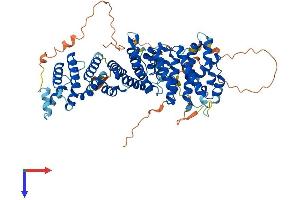 AlphaFold protein structure predicition of Human Recombinant RRN3 Protein, UniprotID Q9NYV6