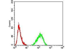 Flow cytometric analysis of Hela cells using LMNB2 mouse mAb (green) and negative control (red).
