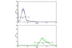 Flow cytometric analysis of K562 cells using PAX3 antibody (bottom histogram) compared to a negative control (top histogram)