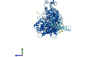 AlphaFold protein structure predicition of Mouse Recombinant Herc4 Protein, UniprotID Q6PAV2