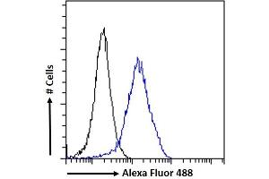 (ABIN185219) Flow cytometric analysis of paraformaldehyde fixed A431 cells (blue line), permeabilized with 0. (ACTR1A anticorps  (C-Term))