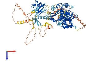 AlphaFold protein structure predicition of Human Recombinant ZMYND15 Protein, UniprotID Q9H091