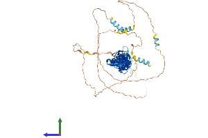 AlphaFold protein structure predicition of Human Recombinant PXN Protein, UniprotID P49023