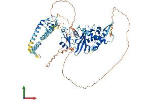 AlphaFold protein structure predicition of Mouse Recombinant Kat7 Protein, UniprotID Q5SVQ0