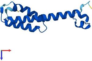 AlphaFold protein structure predicition of Mouse Recombinant Psenen Protein, UniprotID Q9CQR7
