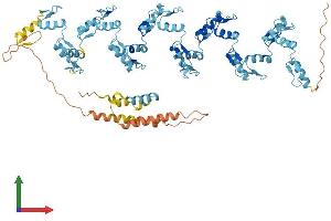 AlphaFold protein structure predicition of Human Recombinant ZNF234 Protein, UniprotID Q14588