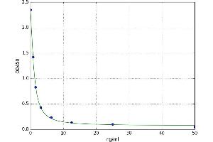 Interferon-Induced Protein 44 (IFI44) ELISA Kit