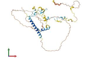 AlphaFold protein structure predicition of Mouse Recombinant Miip Protein, UniprotID A2A7Y5
