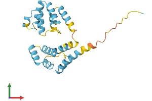 AlphaFold protein structure predicition of Mouse Recombinant Fadd Protein, UniprotID Q61160