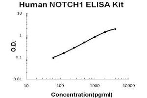 Human NOTCH1 PicoKine ELISA Kit standard curve