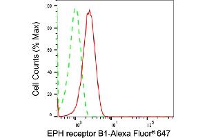 Flow cytometric analysis of EPH receptor B1 expression in HT- cells using EPH receptor B1 antibody (ABIN7798455), 1:2,000). (Recombinant EPH Receptor B1 anticorps)