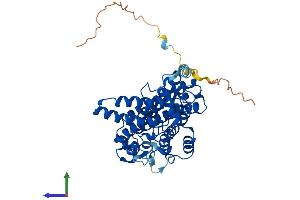 AlphaFold protein structure predicition of Mouse Recombinant Tdo2 Protein, UniprotID P48776