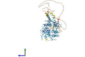 AlphaFold protein structure predicition of Human Recombinant ZNF534 Protein, UniprotID Q76KX8