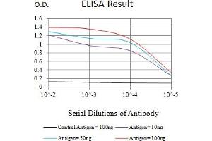Black line: Control Antigen (100 ng),Purple line: Antigen (10 ng), Blue line: Antigen (50 ng), Red line:Antigen (100 ng) (FGF2 anticorps  (AA 143-288))