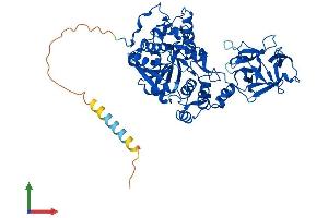 AlphaFold protein structure predicition of Mouse Recombinant Galnt4 Protein, UniprotID O08832