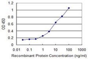 Detection limit for recombinant GST tagged CHRNE is 0.