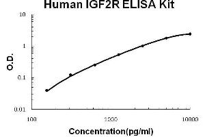 ELISA image for Insulin-Like Growth Factor 2 Receptor (IGF2R) ELISA Kit (ABIN2859333) (IGF2R Kit ELISA)