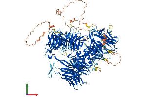 AlphaFold protein structure predicition of Human Recombinant CPSF1 Protein, UniprotID Q10570