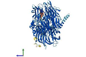 AlphaFold protein structure predicition of Human Recombinant SF3B3 Protein, UniprotID Q15393