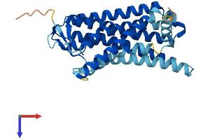 AlphaFold protein structure predicition of Human Recombinant OR8D2 Protein, UniprotID Q9GZM6