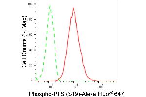 Flow cytometric analysis of Phospho-PTS (S19) expression in HepG2 cells using Phospho-PTS (S19) antibody (ABIN7797432), 1:2,000).