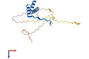 AlphaFold protein structure predicition of Human Recombinant DLX6 Protein, UniprotID P56179