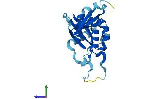 AlphaFold protein structure predicition of Mouse Recombinant Rps7 Protein, UniprotID P62082