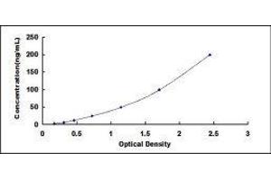 Coagulation Factor 13, B Polypeptide (F13B) ELISA Kit