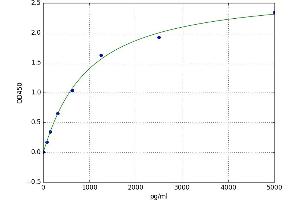 Neurofibromin 1 (NF1) ELISA Kit