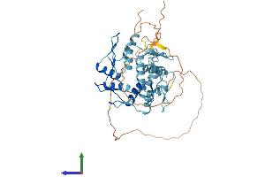 AlphaFold protein structure predicition of Human Recombinant ZNF620 Protein, UniprotID Q6ZNG0