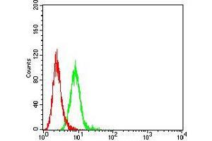 Flow cytometric analysis of K562 cells using CD197 mouse mAb (green) and negative control (red).