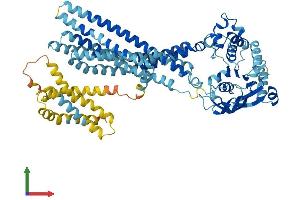 AlphaFold protein structure predicition of Mouse Recombinant Tap1 Protein, UniprotID P21958