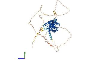 AlphaFold protein structure predicition of Human Recombinant CACNB1 Protein, UniprotID Q02641