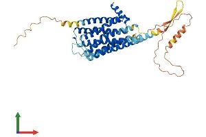 AlphaFold protein structure predicition of Human Recombinant DRD3 Protein, UniprotID P35462