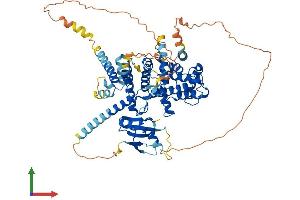 AlphaFold protein structure predicition of Mouse Recombinant Arhgap18 Protein, UniprotID Q8K0Q5