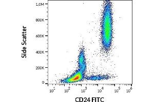 CD24 antibody  (FITC)